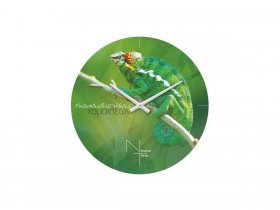 Часы настенные Nicole Time NT503 в Марусино - marusino.mebel-nsk.ru | фото